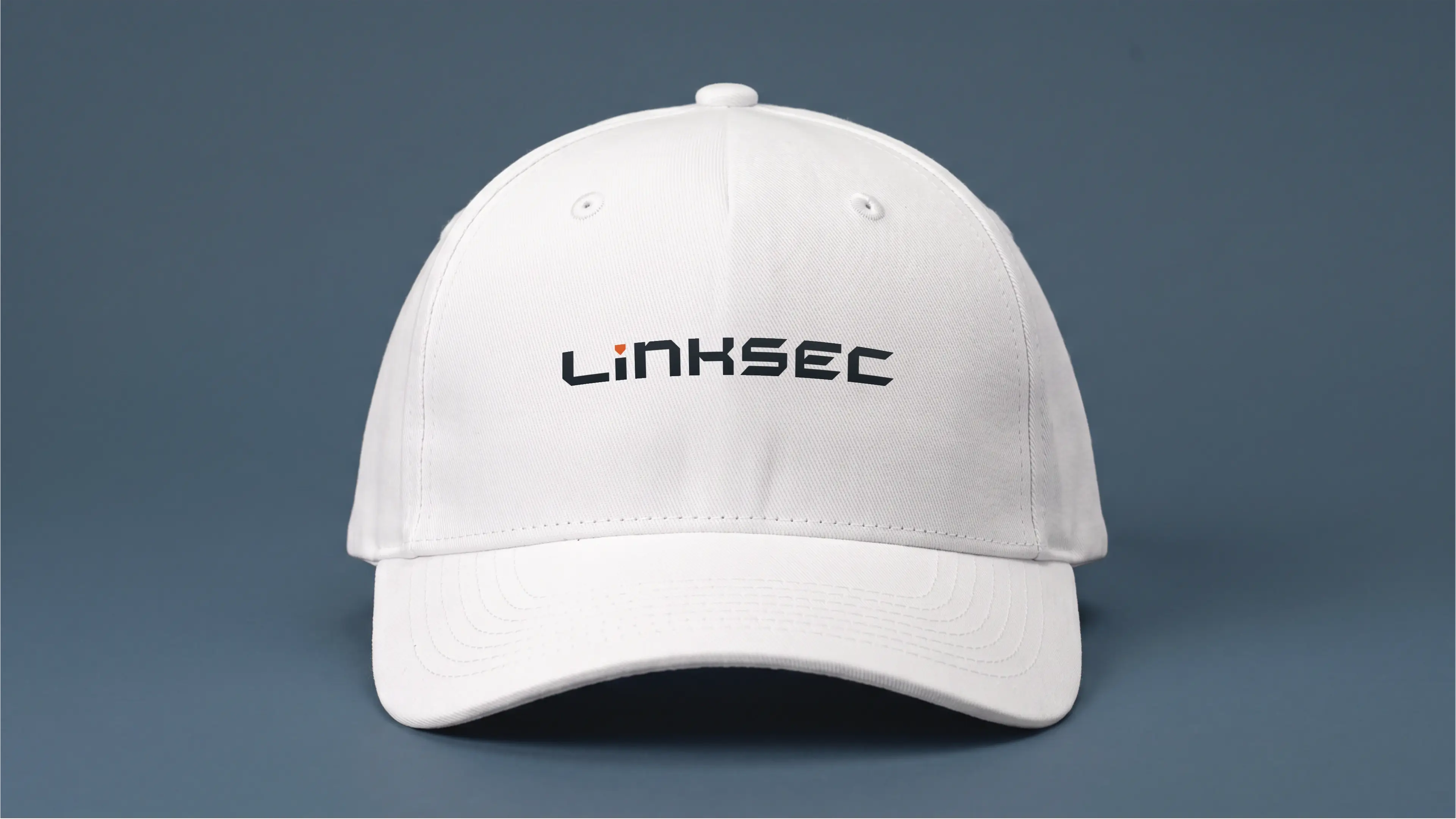 linksec - 3rd Monochrome Mockup of logo design