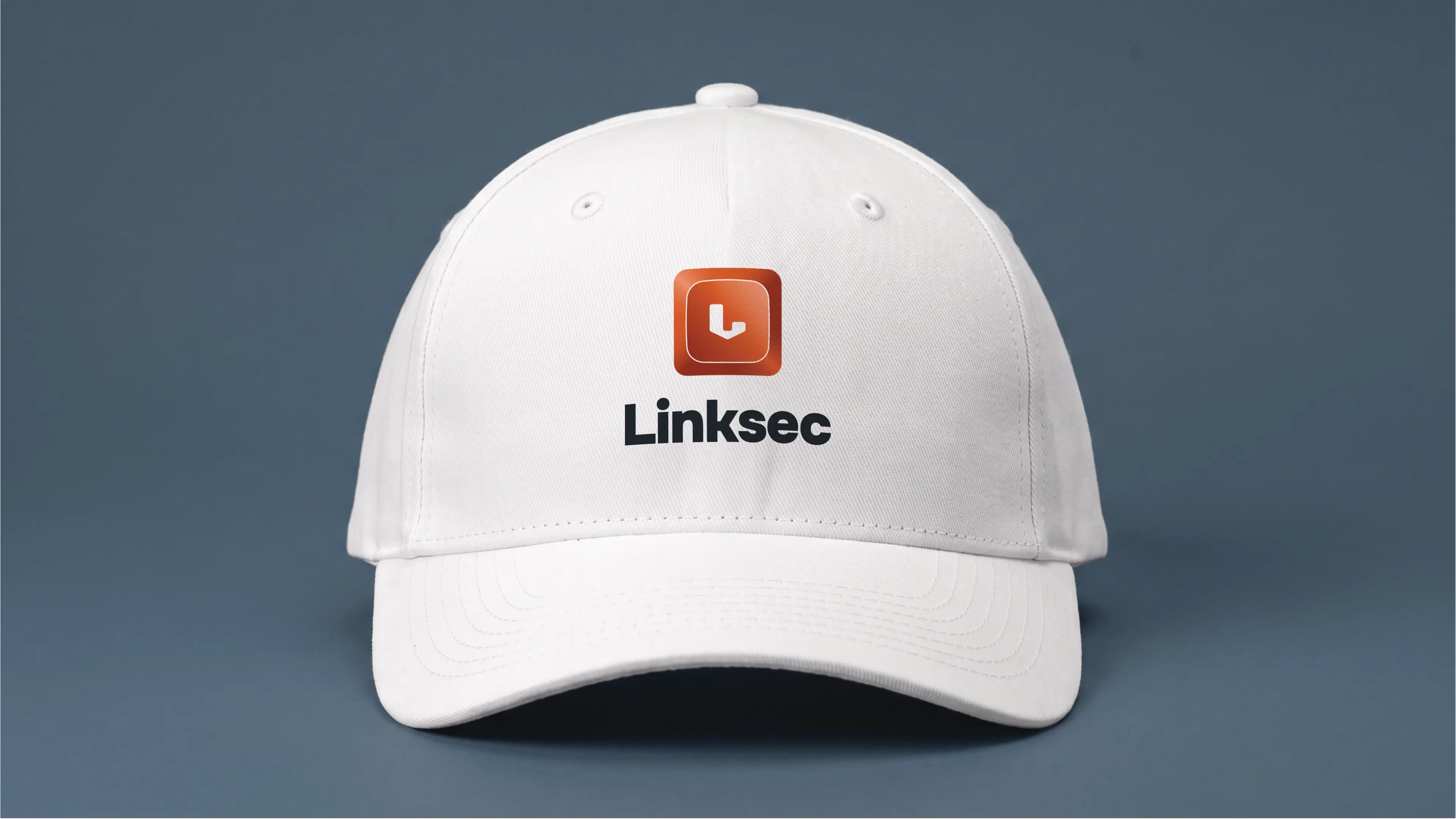 linksec - 3rd Monochrome Mockup of logo design