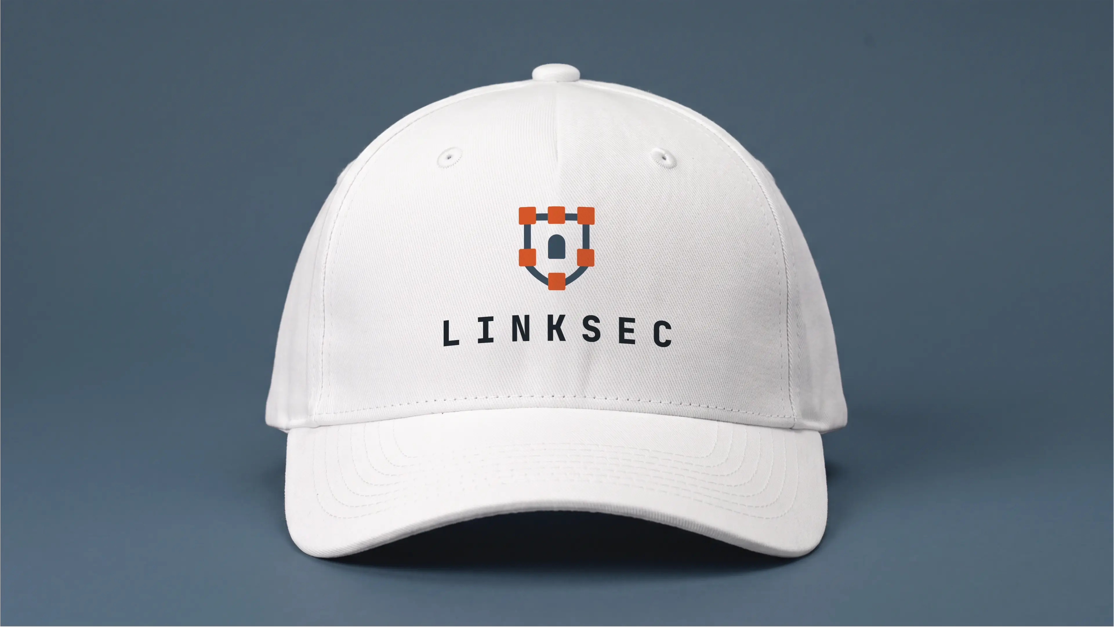 linksec - 3rd Monochrome Mockup of logo design