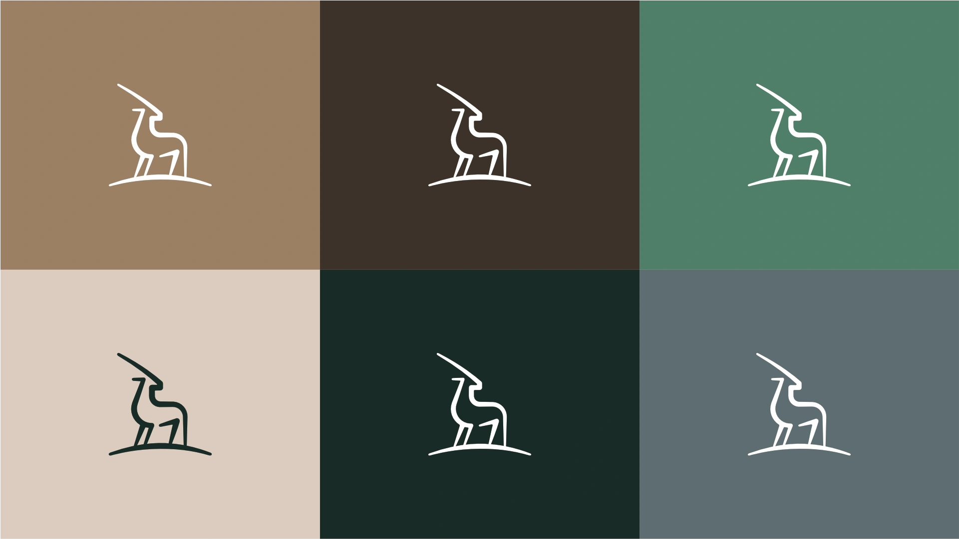 Colour Palette Visual