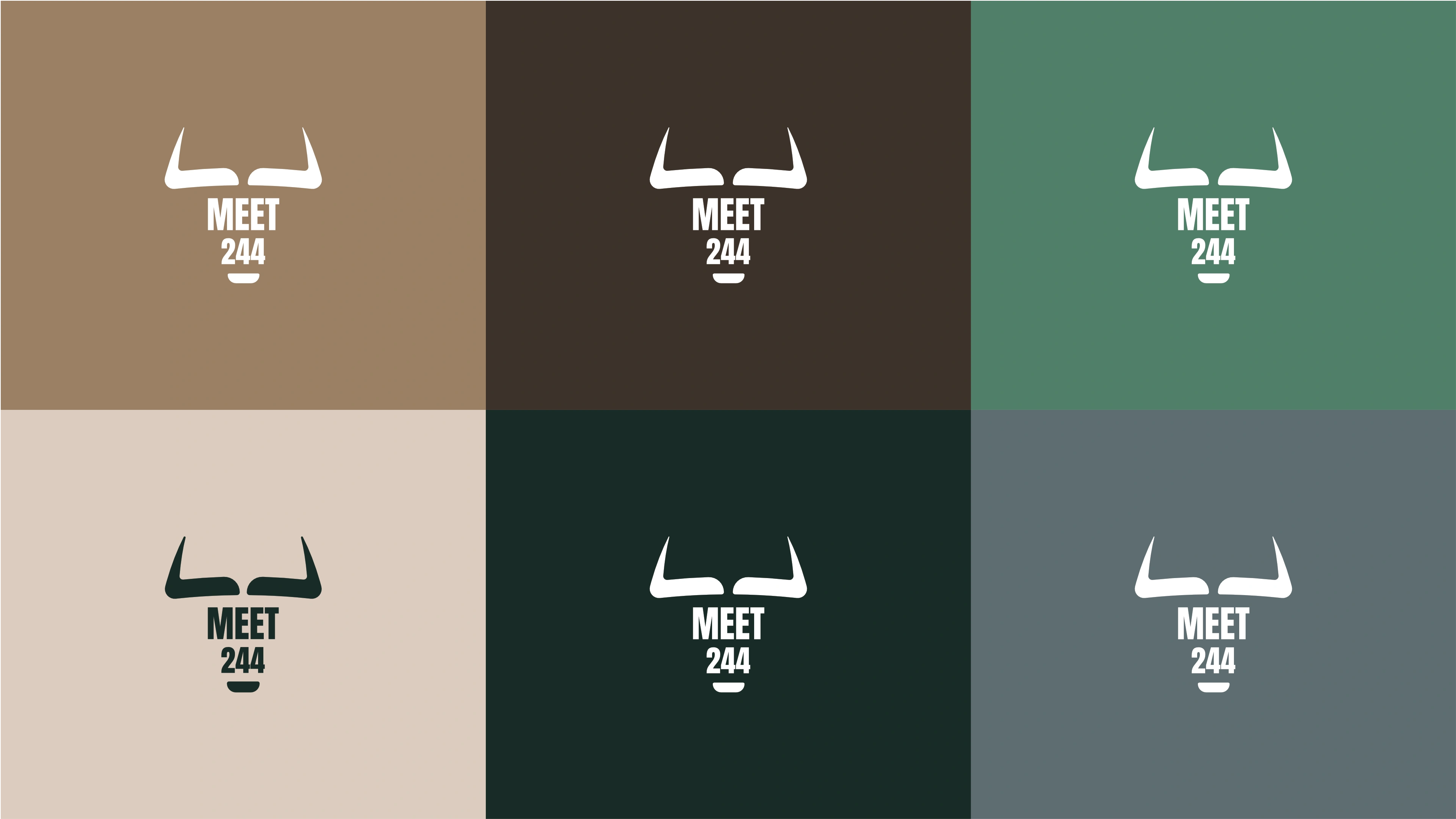 Colour Palette Visual